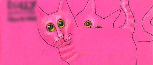 Envelope with Kitties
