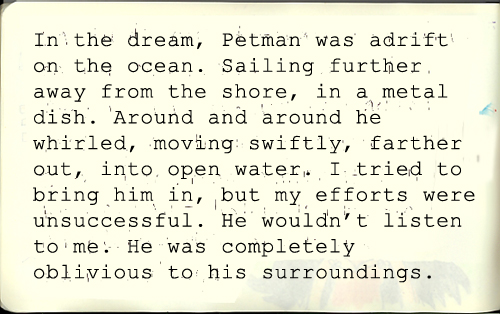 dream words