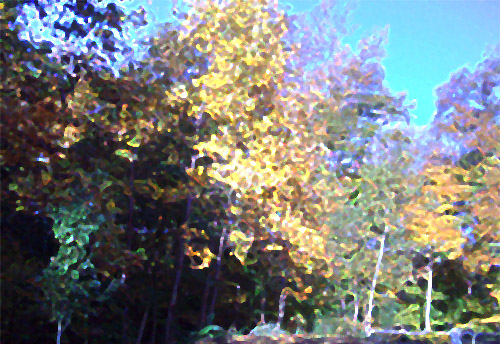 Trees