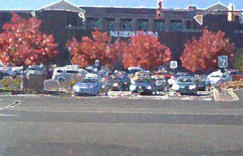 Crimson Trees